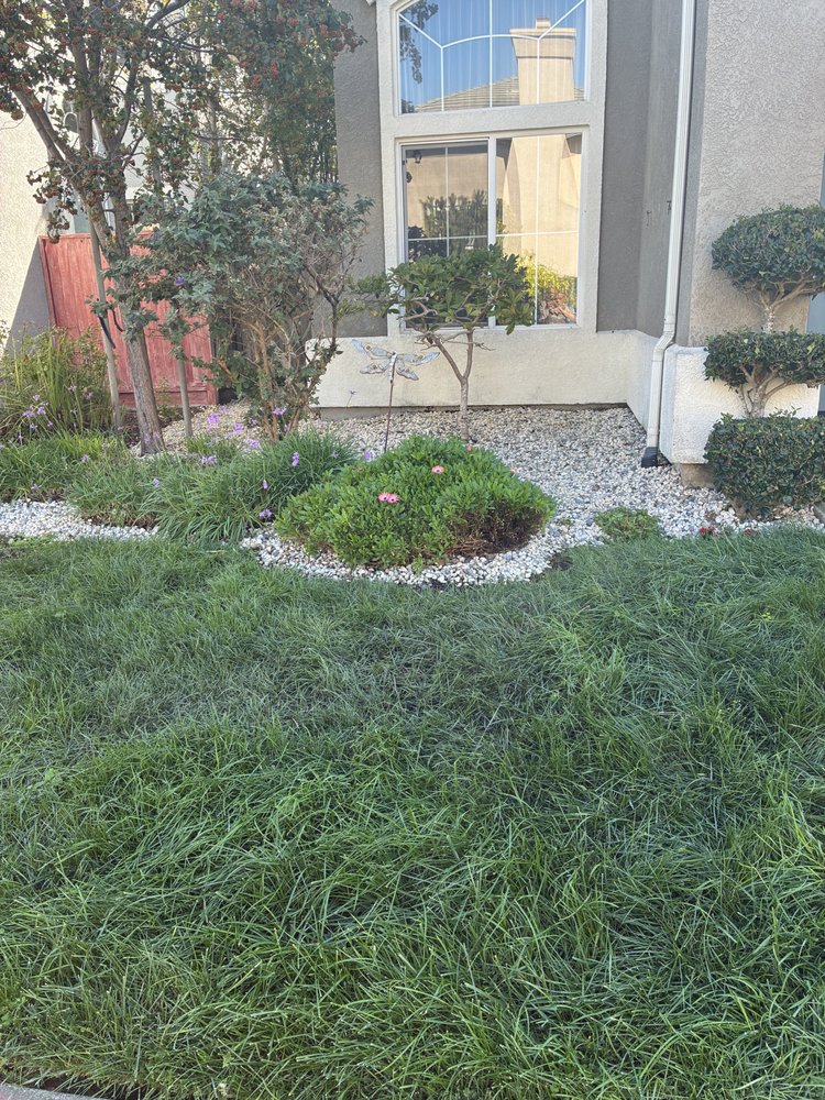 Front Yard Landscaping