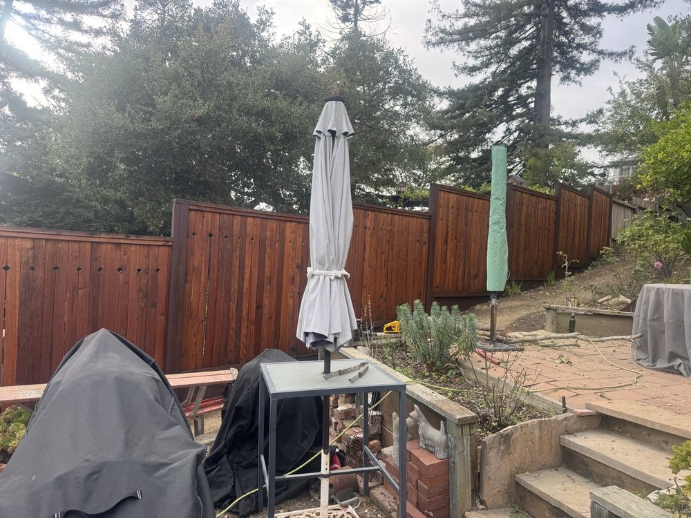 Backyard Fence