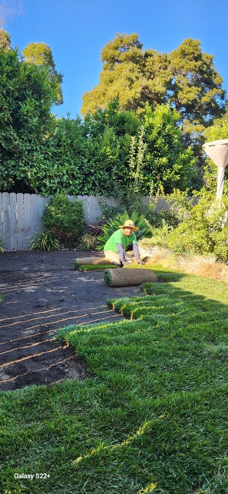 Sod Installation
