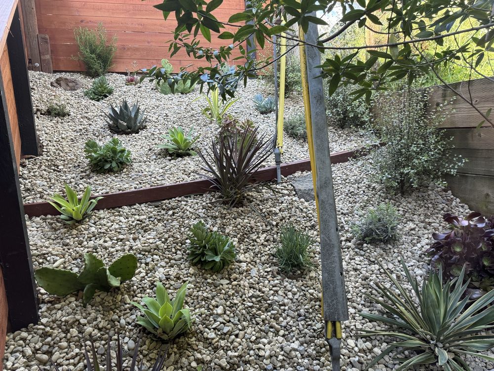 Fresh Planting