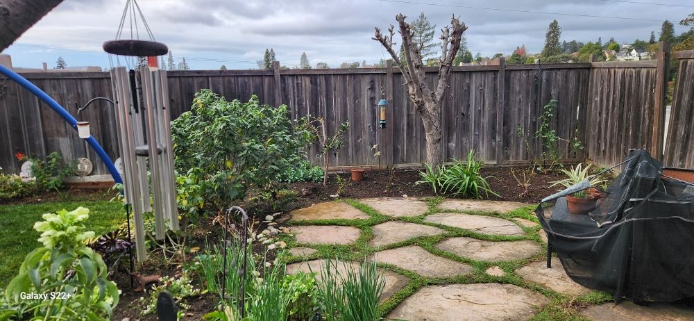 Stone Patio