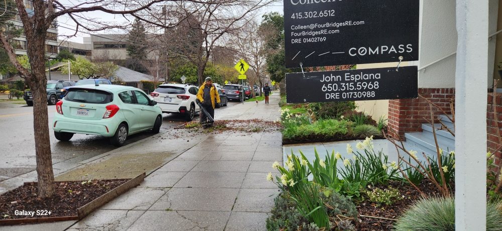 Sidewalk Cleanup