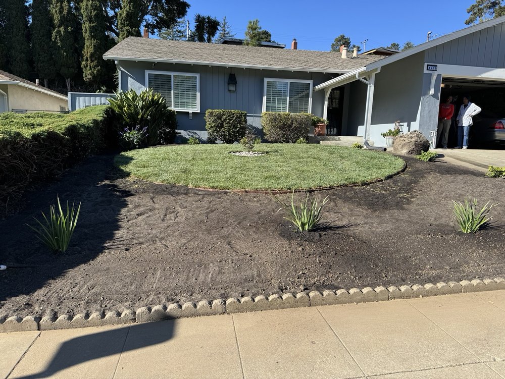 Before and after yard cleanup