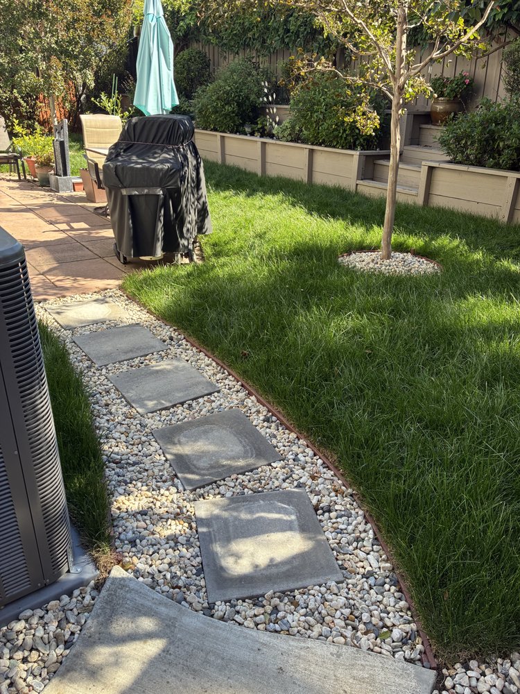 New Lawn Installation